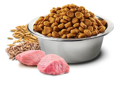 N&D Ancestral Grain Tavuklu Narlı Kılçıksız Buğdaylı Yulaflı Orta ve Büyük Irk Yavru Köpek Maması - 2