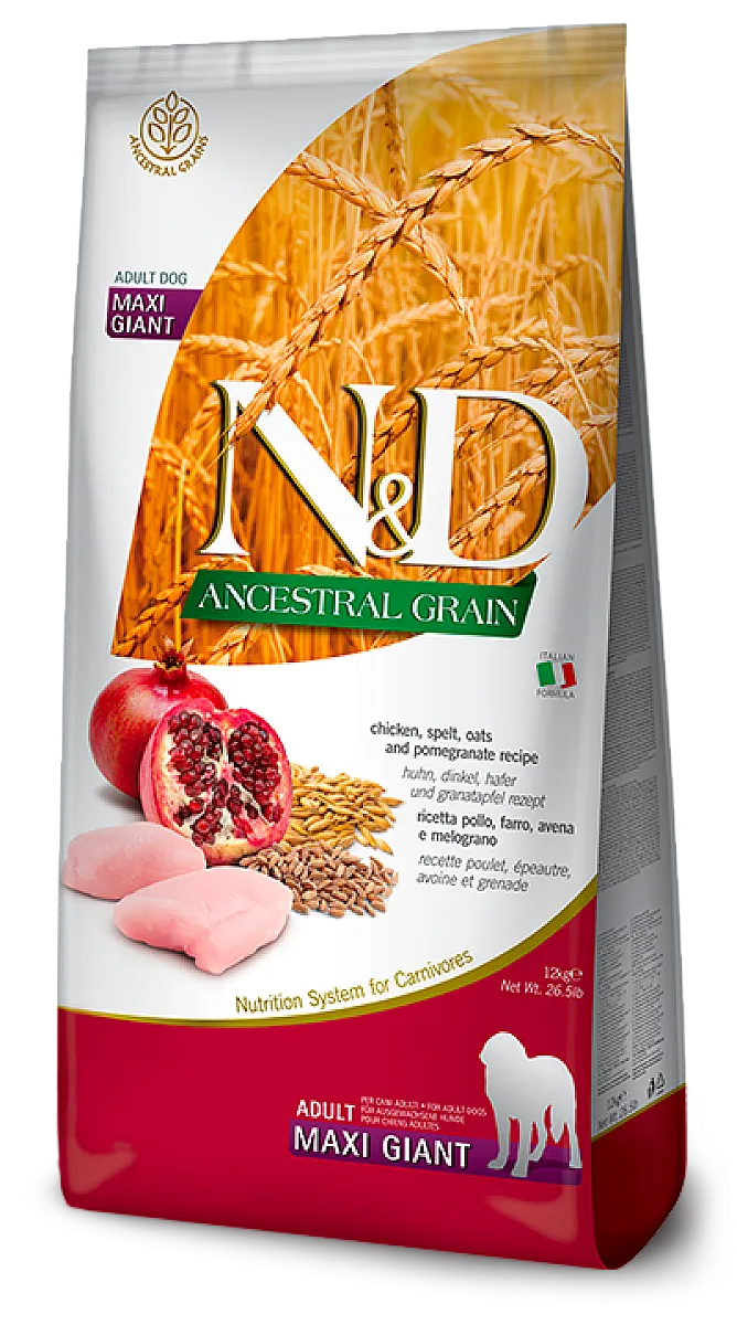N&D Ancestral Grain Tavuklu Narlı Kılçıksız Buğdaylı Yulaflı Dev Irk Yetişkin Köpek Maması 12 kg
