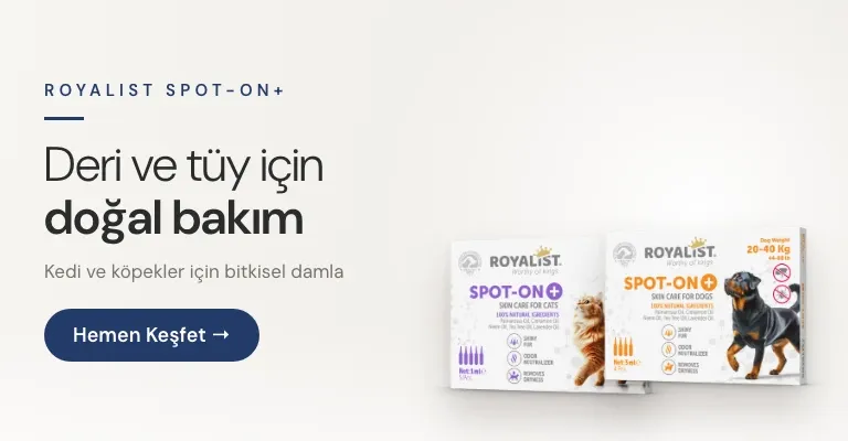 Royalist Spot on Köpek Damlası