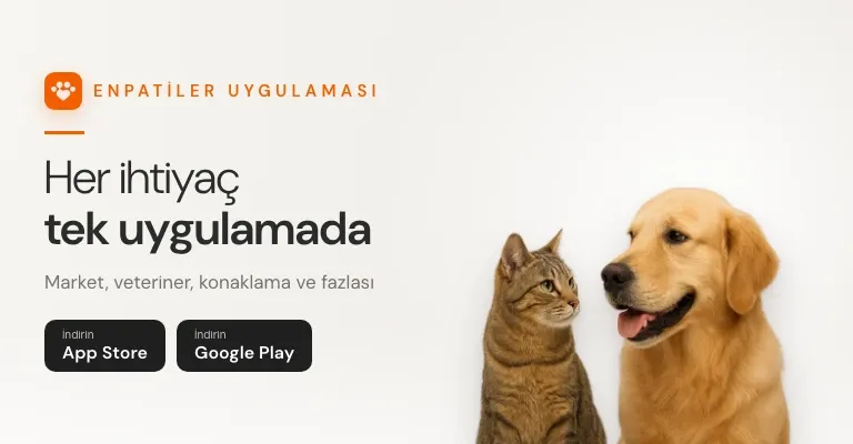 Enpatiler Uygulaması