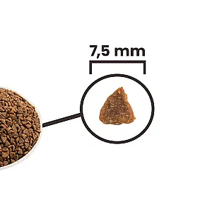 Acana First Feast Tavuklu ve Ringa Balıklı Yavru Kedi Maması 1.8 kg - 1