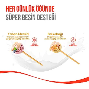 Wanpy Dondurularak Kurutulmuş Yaban Mersinli Lolipop Köpek Ödülü 6 g (10'lu) - 5