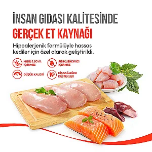 Wanpy Crunch Tavuklu Kedi Ödül Maması 60 g - 4
