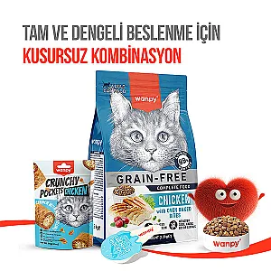 Wanpy Crunch Tavuklu Kedi Ödül Maması 60 g - 6