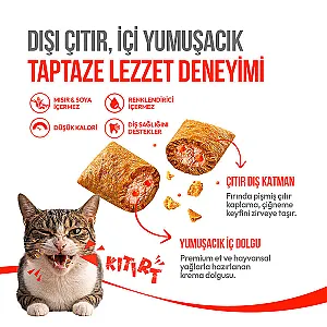 Wanpy Crunch Somon ve Havyarlı Kedi Ödül Maması 60 g - 2