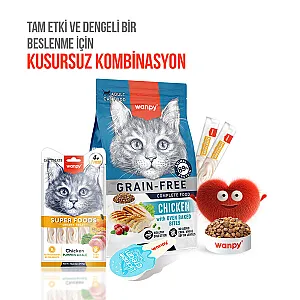 Wanpy Superfood Balkabağı ve Kara Lahanalı Krema Kedi Ödülü 5x14 g - 6