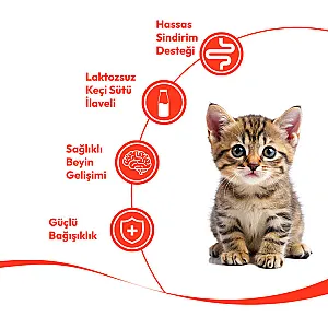 Wanpy Tavuk ve Morina Balıklı Yavru Kedi Krema Ödülü 5x14 g - 3