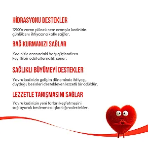 Wanpy Tavuk ve Morina Balıklı Yavru Kedi Krema Ödülü 5x14 g - 4