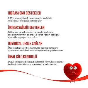 Wanpy Ton Balıklı ve Kızılcıklı Kısırlaştırılmış Kedi Krema Ödülü 5x14 g - 4