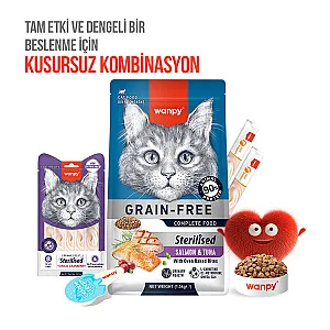 Wanpy Ton Balıklı ve Kızılcıklı Kısırlaştırılmış Kedi Krema Ödülü 5x14 g - 6