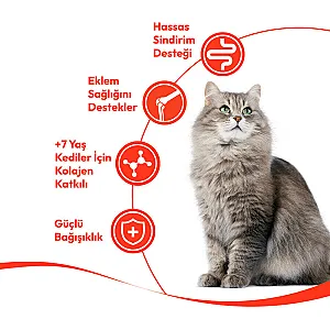 Wanpy Tavuklu ve Ciğerli 7+ Yaş Kedi Krema Ödülü 5x14 g - 3