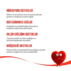 Wanpy Tavuklu ve Ciğerli 7+ Yaş Kedi Krema Ödülü 5x14 g - 4