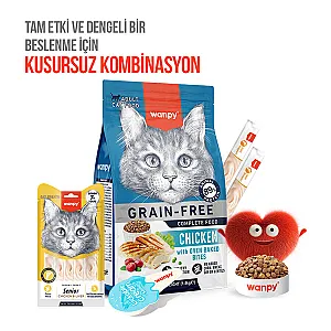 Wanpy Tavuklu ve Ciğerli 7+ Yaş Kedi Krema Ödülü 5x14 g - 6
