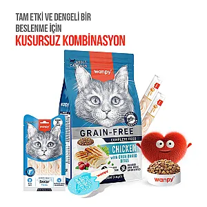Wanpy Ton Balıklı 7+ Yaş Kedi Krema Ödülü 5x14 g - 6