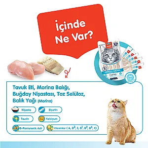 Wanpy Hairball Control Morina Balıklı ve Tavuklu Fonksiyonel Krema Kedi Ödülü 5x14 g - 2