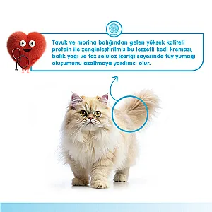 Wanpy Hairball Control Morina Balıklı ve Tavuklu Fonksiyonel Krema Kedi Ödülü 5x14 g - 4