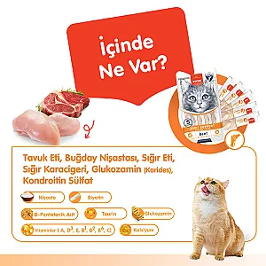 Wanpy Joint Support Sığır Etli ve Tavuklu Eklem Destekleyici Krema Kedi Ödülü 5x14 g - 2