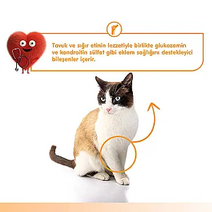 Wanpy Joint Support Sığır Etli ve Tavuklu Eklem Destekleyici Krema Kedi Ödülü 5x14 g - 4