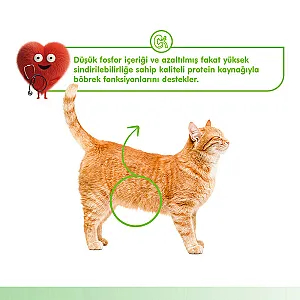 Wanpy Kidney Health Tavuklu ve Sebzeli Fonksiyonel Krema Kedi Ödülü 5x14 g - 4
