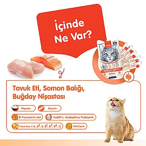 Wanpy Digestive Health Somonlu ve Tavuklu Fonksiyonel Krema Kedi Ödülü 5x14 g - 2