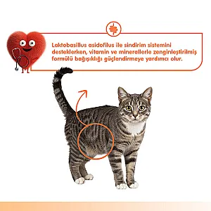 Wanpy Digestive Health Somonlu ve Tavuklu Fonksiyonel Krema Kedi Ödülü 5x14 g - 4