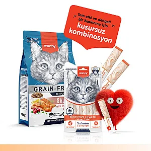Wanpy Digestive Health Somonlu ve Tavuklu Fonksiyonel Krema Kedi Ödülü 5x14 g - 6