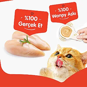 Wanpy Tavuklu Kaşıklı Krema Kedi Ödülü 10x16 g - 3