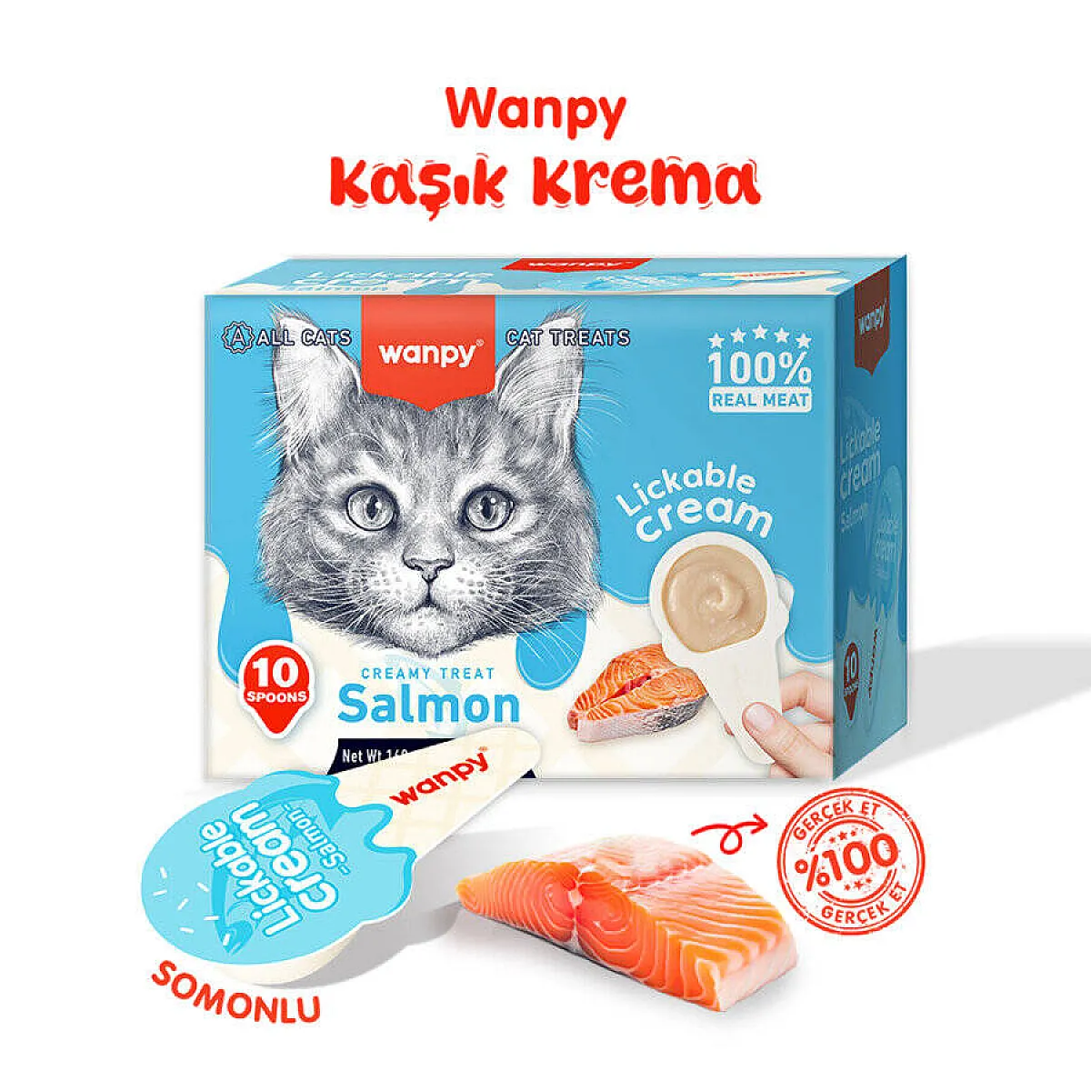 Wanpy Somonlu Kaşıklı Krema Kedi Ödülü 10x16 g