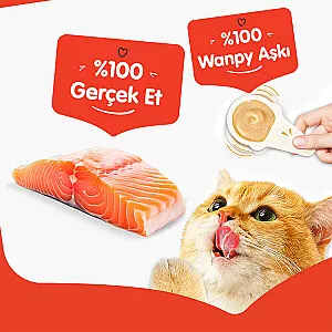 Wanpy Somonlu Kaşıklı Krema Kedi Ödülü 10x16 g - 3