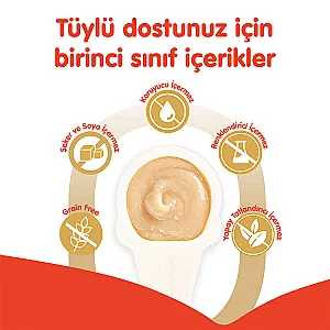 Wanpy Somonlu Kaşıklı Krema Kedi Ödülü 10x16 g - 4
