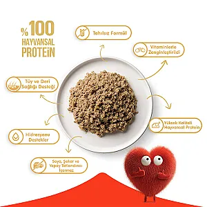 Wanpy Tahılsız %100 Gerçek Et Ton Balıklı Kedi Konservesi 375 g - 3