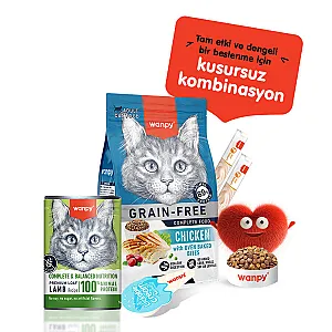Wanpy Tahılsız %100 Gerçek Et Kuzulu Kedi Konservesi 375 g - 4