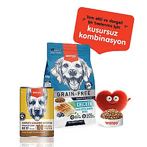 Wanpy Tahılsız %100 Gerçek Et Biftekli Köpek Konservesi 375 g - 4