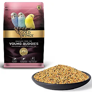 Gold Wings Premium Yavru Muhabbet Kuşu Yemi 1 kg - 1
