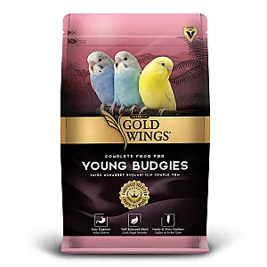 Gold Wings Premium Yavru Muhabbet Kuşu Yemi 1 kg - 2