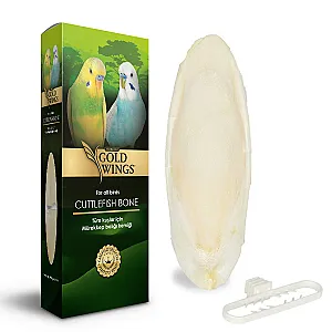 Gold Wings Premium Mürekkep Balığı Kemiği (Küçük) - 1