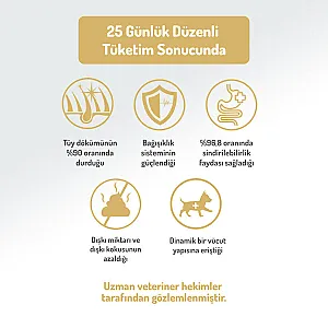 Felicia Hipoalerjenik Kuzulu Düşük Tahıllı Orta ve Büyük Irk Yetişkin Köpek Maması 6 kg (2x3 kg) - 5