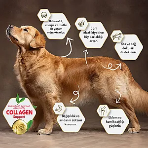 Felicia Hipoalerjenik Somonlu Düşük Tahıllı Küçük Irk Yetişkin Köpek Maması 6 kg (2x3 kg) - 6