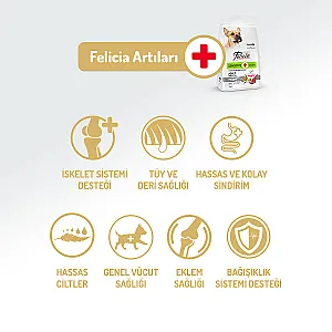 Felicia Hipoalerjenik Kuzulu Düşük Tahıllı Küçük Irk Yetişkin Köpek Maması 3 kg - 2