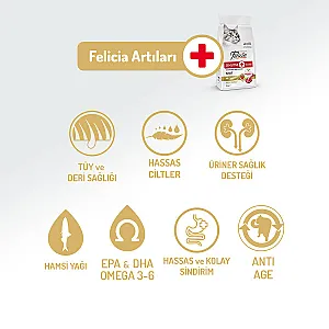 Felicia Hipoalerjenik Kuzulu Düşük Tahıllı Yetişkin Kedi Maması 2 kg - 2