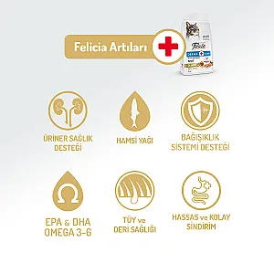 Felicia Hipoalerjenik Somonlu Düşük Tahıllı Yetişkin Kedi Maması 12 kg - 2