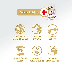 Felicia Hipoalerjenik Kuzulu Düşük Tahıllı Yavru Kedi Maması 12 kg - 2