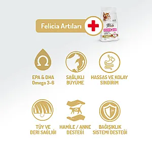 Felicia Hipoalerjenik Tavuklu Düşük Tahıllı Yavru Kedi Maması 12 kg - 2