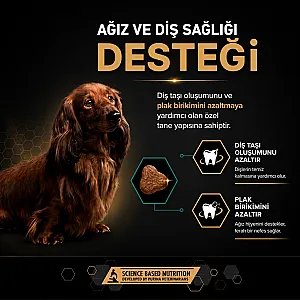 Pro Plan Small&Mini Adult Tavuklu Küçük Irk Yetişkin Köpek Maması 7 kg - 3