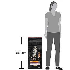 Pro Plan Medium&Large Senior 7+ Somonlu ve Pirinçli Orta ve Büyük Irk Yaşlı Köpek Maması 14 kg - 2