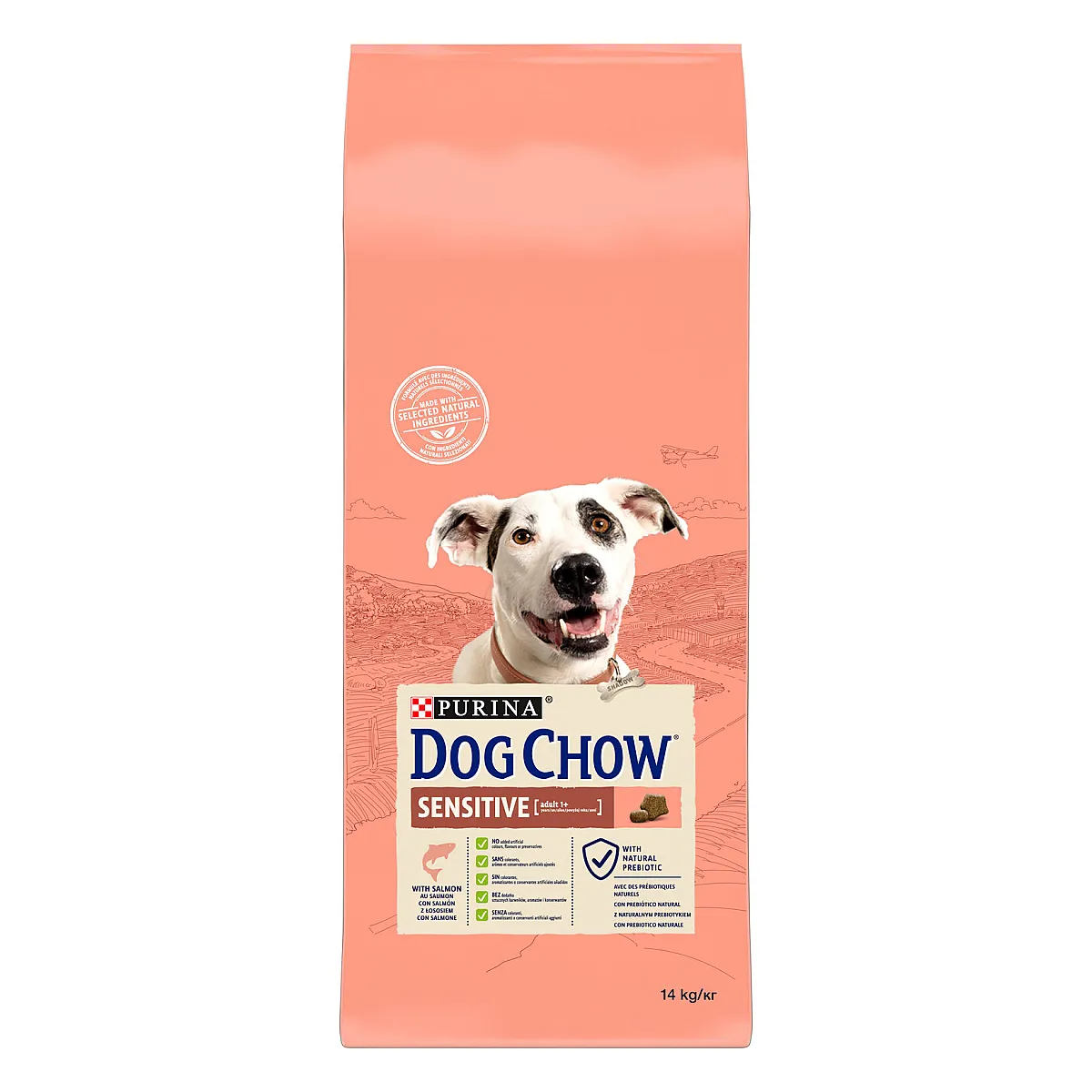 Purina Dog Chow Sensitive Hassas Köpekler için Somon Etli Yetişkin Köpek Maması 14 kg