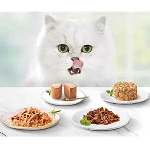 Gourmet Gold Kıyılmış Dana Etli Yavru Kedi Konservesi 85 g - 4