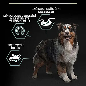 Pro Plan Medium Adult Sensitive Digestion Kuzulu Orta Irk Yetişkin Köpek Maması 10 kg - 5