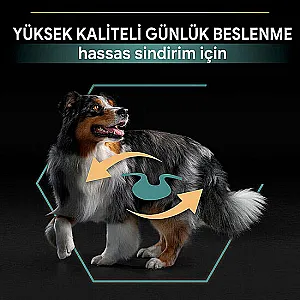 Pro Plan Medium Adult Sensitive Digestion Kuzulu Orta Irk Yetişkin Köpek Maması 10 kg - 6