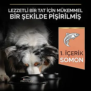 Pro Plan Medium Adult Sensitive Skin Somonlu Orta Irk Yetişkin Köpek Maması 10 kg - 2
